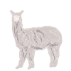 no drama lama