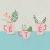 fleurs d'été