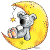 Koala im Mond