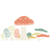 Mushroom morel