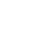 Viet Vo Dao Vovinam