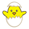 Chicks in the egg