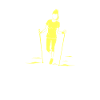 Nordic Walker Frau Walking