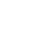 Drone remotely controlled