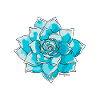blue succulent