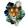 poly tiger jungle blue-ish