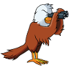 With eagle eyes
