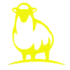 Yellow Sheep