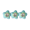 Wildblumen türkis