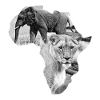 Afrique