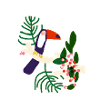 Tropical Toucan