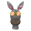 Cool donkey with sunglasses