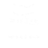 Cash hank Willie Waylon
