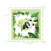 24 jungle panda