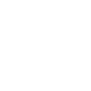 BJJ Brazilian Jiu-Jitsu