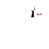 Grill Master Evolution