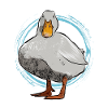 goose