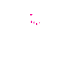 Feminism female power