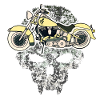 Moto Crâne