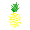 Donkey pineapple