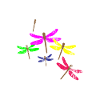 Libelle