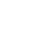 dragon-fly