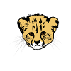 Gepard Tiermotiv