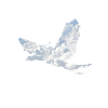 Nuages oiseau