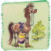 Thelwell - Rider is falling down