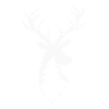 Deer head - fir