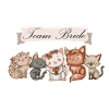 Junggesellen Abschied Katzen Team Bride