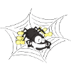 Hungry spider on the web