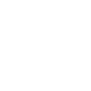 2020 line