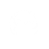 Save the Bees