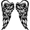 Large angel wings