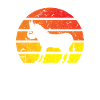 Donkey Horse