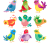 Birds of paradise 2