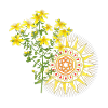 St. John's wort