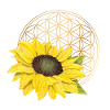 Blume des Lebens