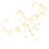 Bodybuilding