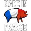 charcuterie cochonnailles 05