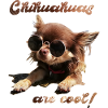Chihuahua T-Shirts Chihuahuas are cool