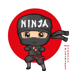 Ninja bambino - Giappone