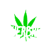 Kiffen Kiffer Amsterdam