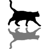 Kätzchen Katze