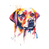 Labrador Hunderasse