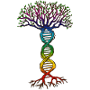 Chakra DNA Tree of Life.