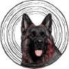 Schäferhund