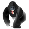 Wild Gorilla