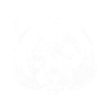 Panda bear